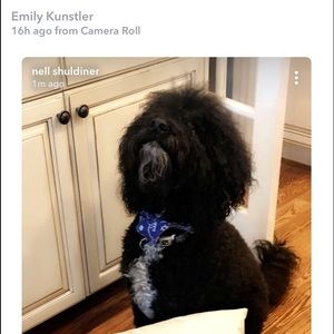 Meet your Posher, Roni